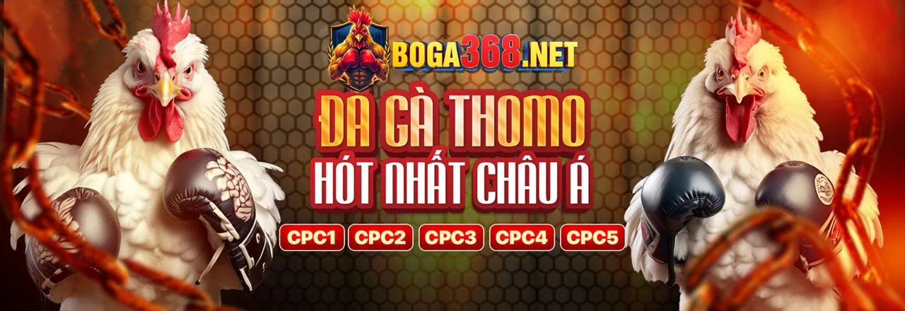 Khuyến Mãi Đá Gà HE88