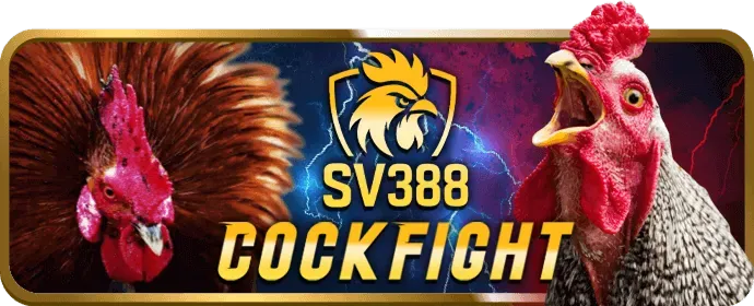 FAQ Đá Gà HE88